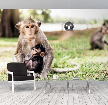 Picture of Monkeys in the jungle looking camera
